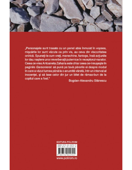 Garsonieră în centru