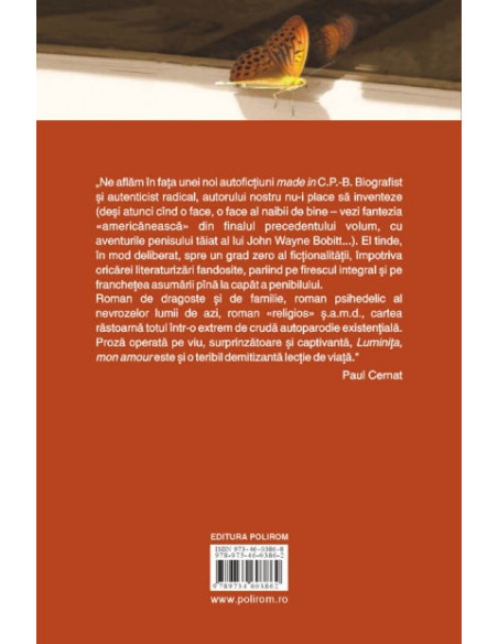 Luminița, mon amour