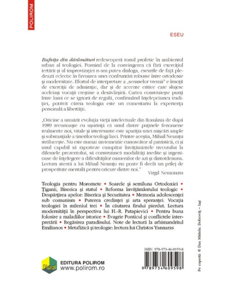 Bufnița din dărâmături. Insomnii teologice în România postcomunistă