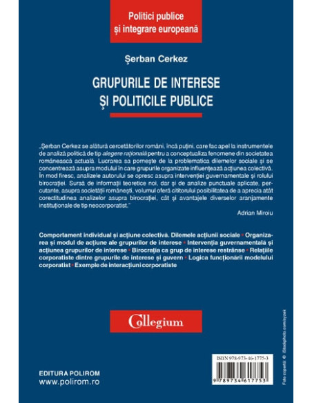 Grupurile de interese și politicile publice