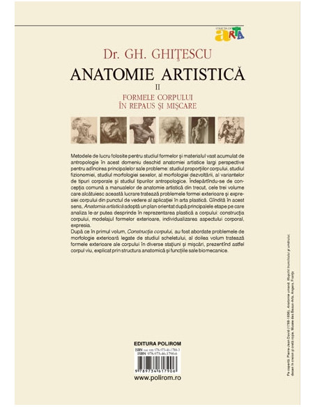 Anatomie artistică (II)