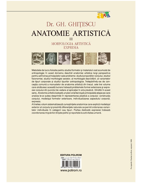 Anatomie artistică (III)