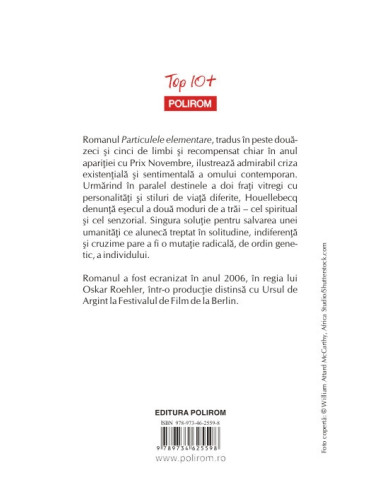 Particulele elementare Particulele elementare