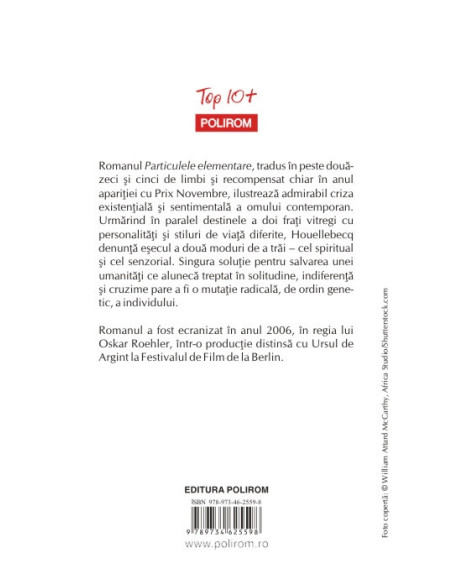 Particulele elementare