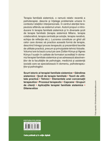 Terapie familială sistemică