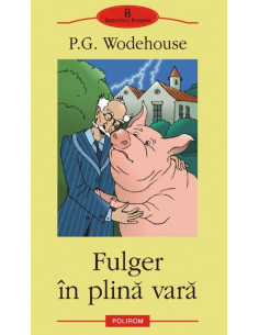 Fulger în plină vară