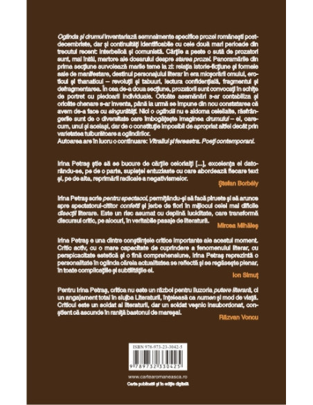 Oglinda și drumul. Prozatori contemporani