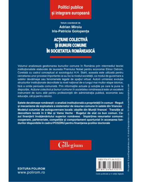 Acțiune colectivă și bunuri comune în societatea românească
