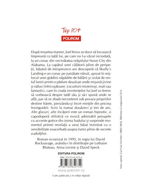 Alte glasuri, alte încăperi (ediţie de buzunar)