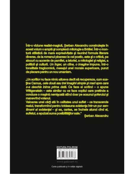 Un înger, un cîine, o imagine