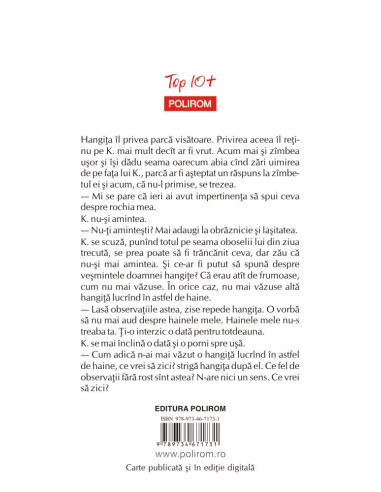 Castelul (traducere nouă)