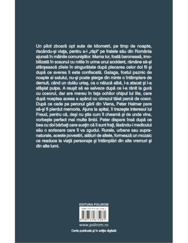 Un roman într-o gară mică Un roman într-o gară mică