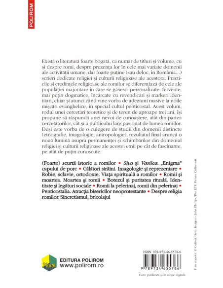 Bafta, Devla şi Haramul. Studii despre cultura şi religia romilor