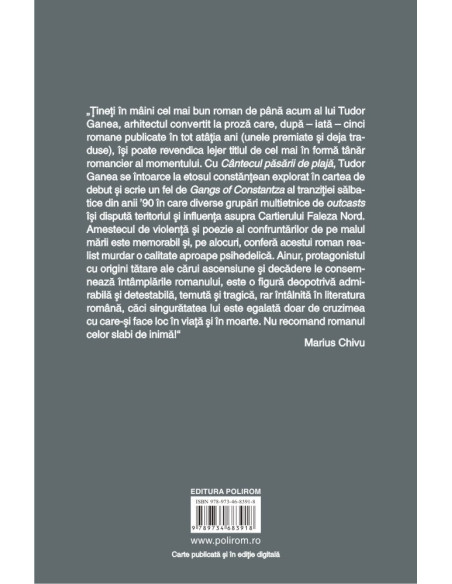 Cântecul păsării de plajă