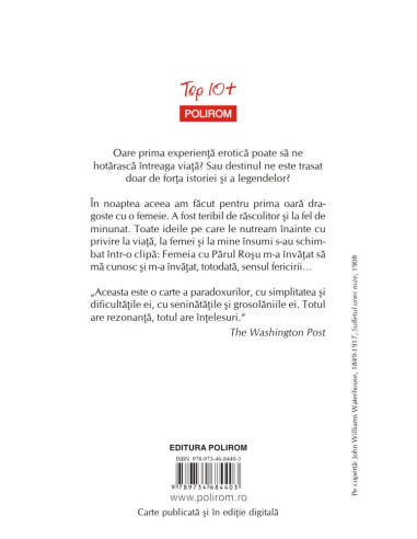 Femeia cu Părul Roșu  Femeia cu Părul Roșu