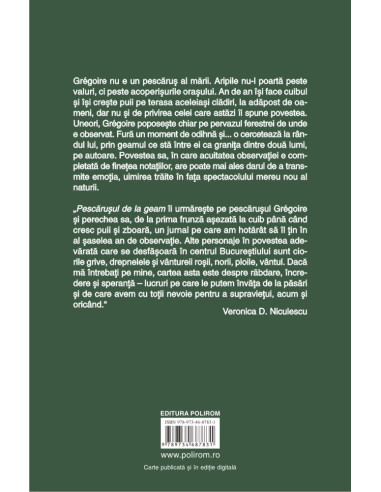 Pescăruşul de la geam