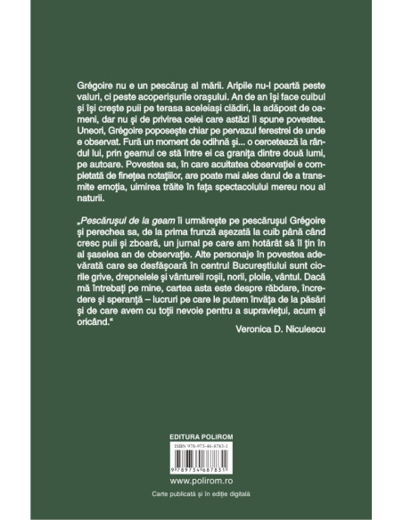 Pescăruşul de la geam