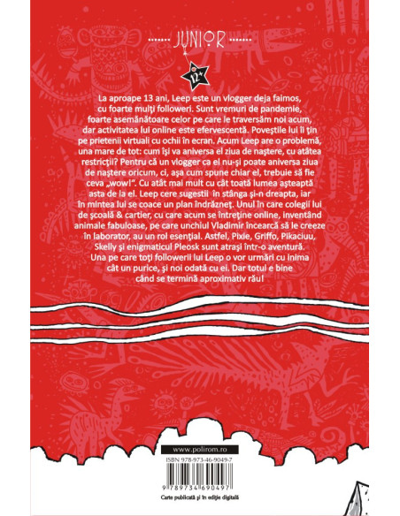 Vlogger la 13 ani