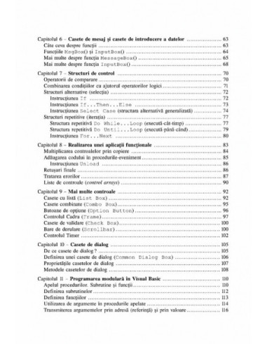 Visual Basic. Primii pași... și...