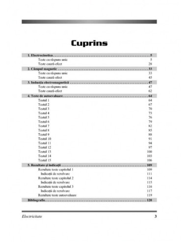 Fizica. Electricitate şi magnetism