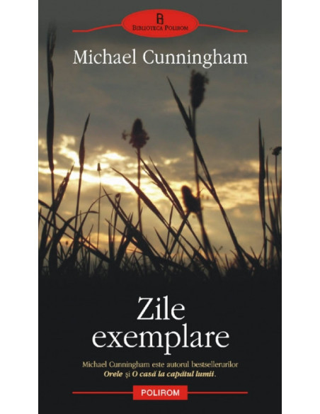 Zile exemplare