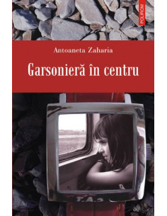 Garsonieră în centru