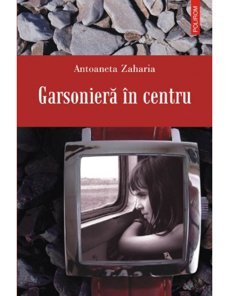 Garsonieră în centru