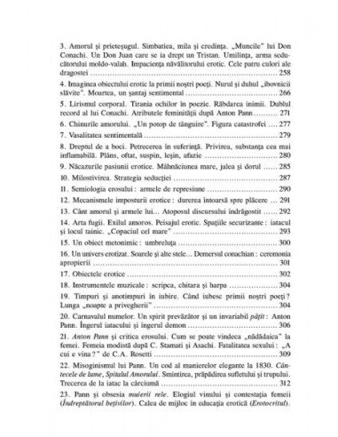 Dimineața poeților. Eseu despre... Dimineața poeților. Eseu despre...