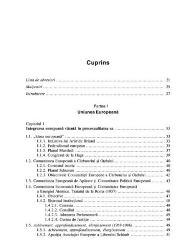 Procesul decizional în Uniunea Europeana Procesul decizional în Uniunea Europeana