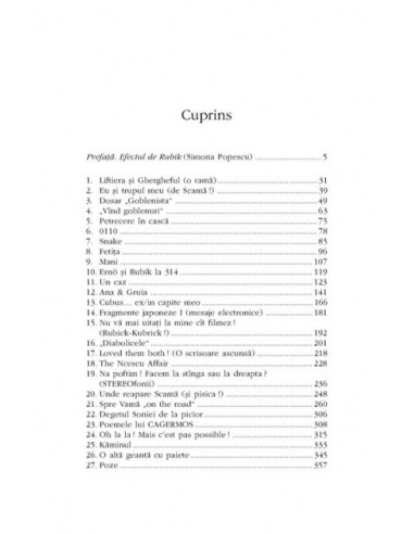 Rubik. Roman colectiv