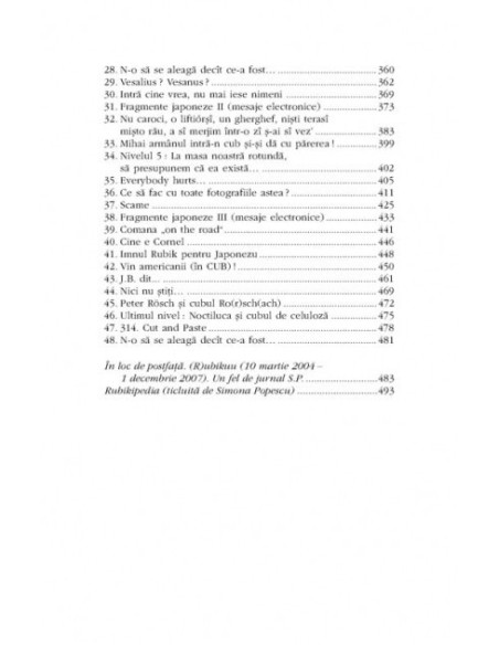 Rubik. Roman colectiv