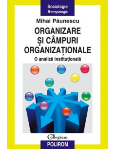 Organizare și cîmpuri...