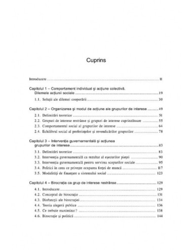 Grupurile de interese și politicile...