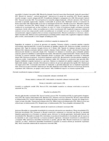 Anatomie artistică (II)