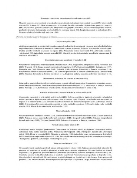 Anatomie artistică (II)