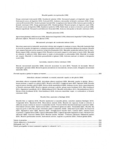 Anatomie artistică (II)