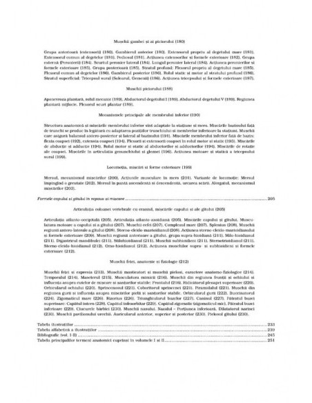 Anatomie artistică (II)