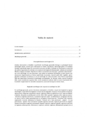 Anatomie artistică (III)