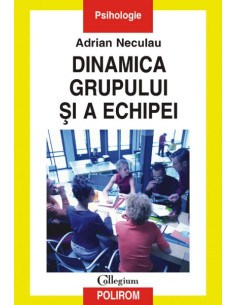 Dinamica grupului și a echipei