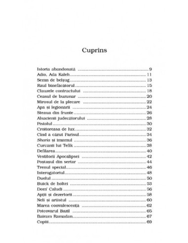 Medgidia, orașul de apoi 