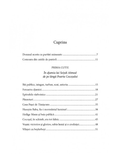 Istoria din cutia de pantofi