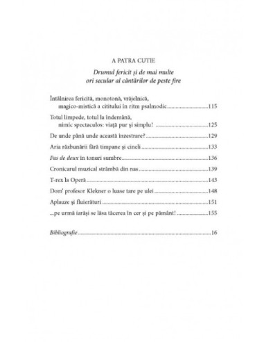 Istoria din cutia de pantofi