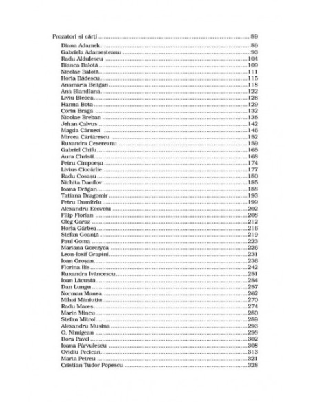 Oglinda și drumul. Prozatori contemporani