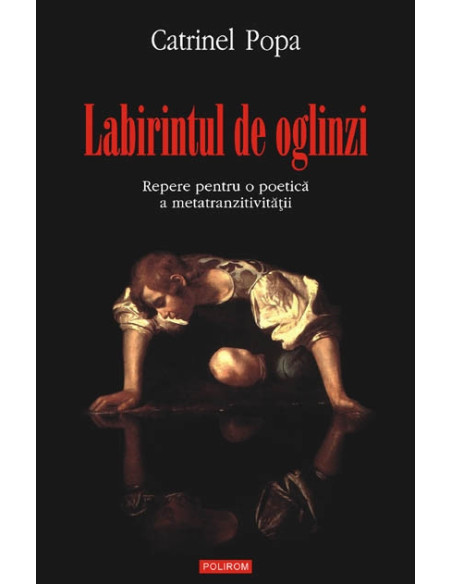 Labirintul de oglinzi. Repere pentru o poetică a metatranzitivităţii