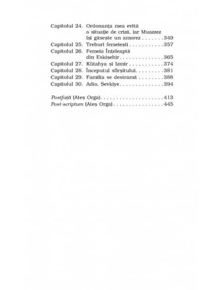 Portretul unei familii turcești. O poveste din Istanbulul de altădată (ediţie de buzunar)