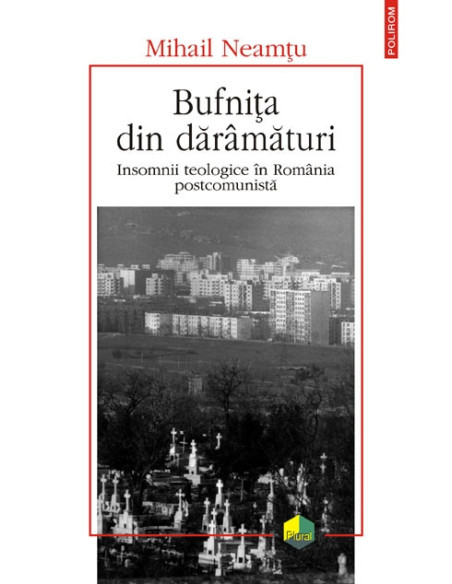 Bufnița din dărâmături. Insomnii teologice în România postcomunistă