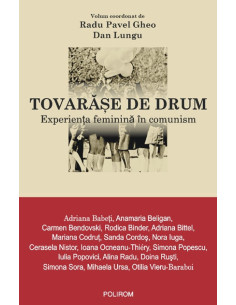 Tovarășe de drum....