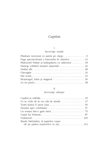 Un roman într-o gară mică Un roman într-o gară mică