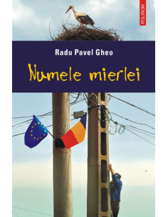 Numele mierlei