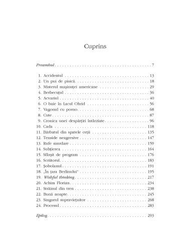 Bărbatul din spatele ceţii